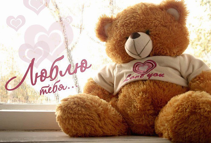 19 листопада свято День плюшевого ведмедика в Росії