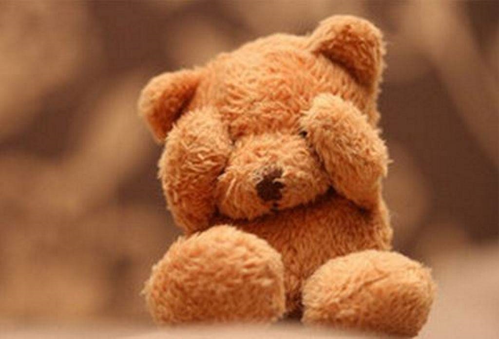 19 листопада свято День плюшевого ведмедика в Росії