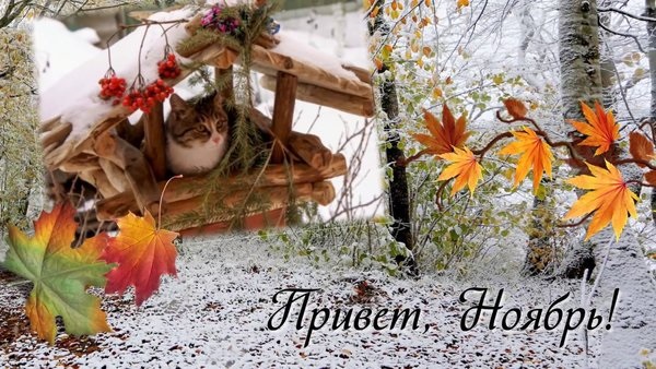 Привіт листопад - красиві листівки та картинки