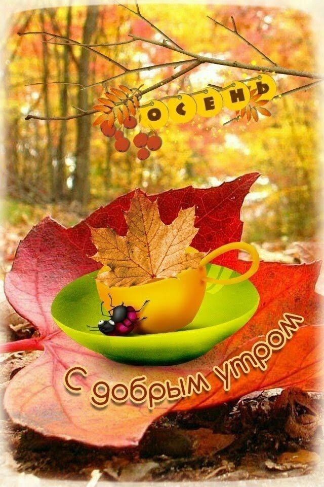 Доброго ранку осінній настрій — добірка листівок