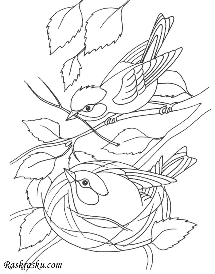Гніздо на дереві – гарні малюнки для дітей
