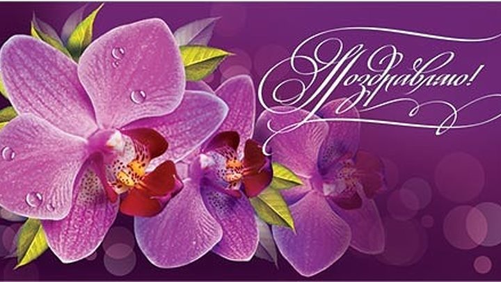 Орхідеї з днем ​​народження фото та листівки