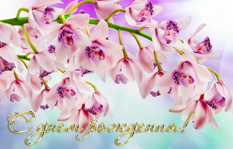 Орхідеї з днем ​​народження фото та листівки