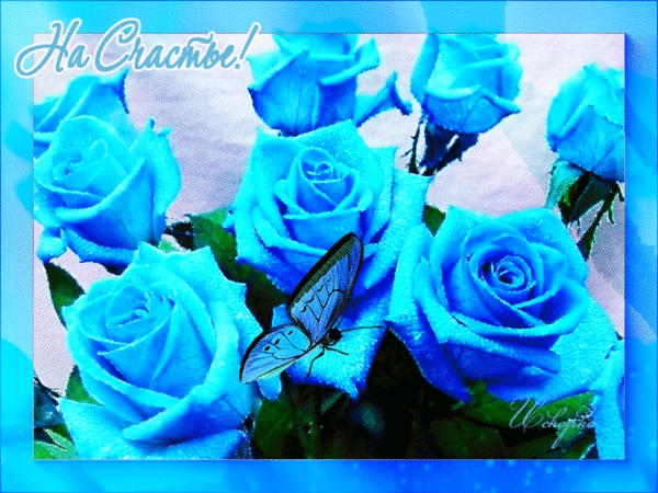 З Днем Народження сині троянди - добірка листівок