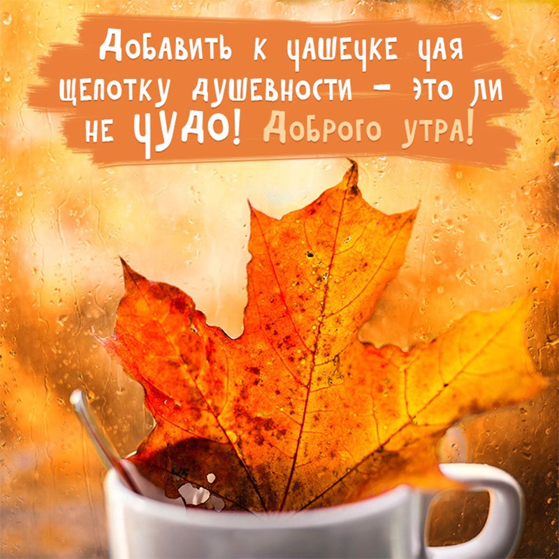 З доброго ранку вересень — красиві картинки та листівки