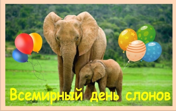 Всесвітній день слона 12 серпня, свято.