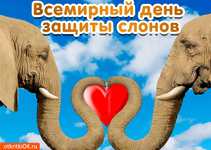Всесвітній день слона 12 серпня, свято.