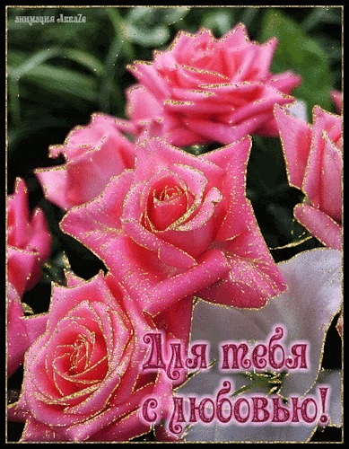 Тобі троянди - наймиліші листівки букети для дівчат