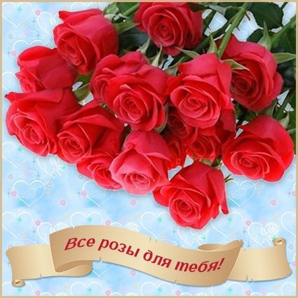 Тобі троянди - наймиліші листівки букети для дівчат
