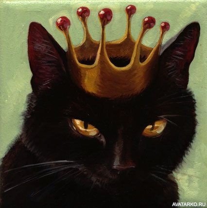 Класні картинки на аву чорна кішка