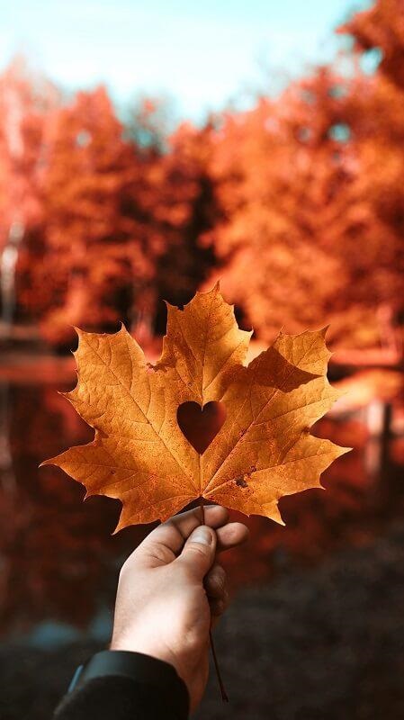 Красиві фото про осінь