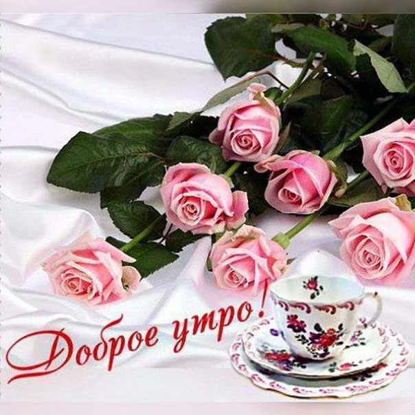 Доброго ранку з троянди красиві листівки для коханих