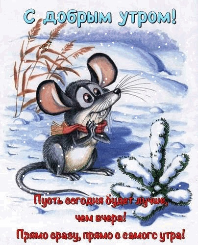 Мишка доброго ранку красиві листівки з побажаннями