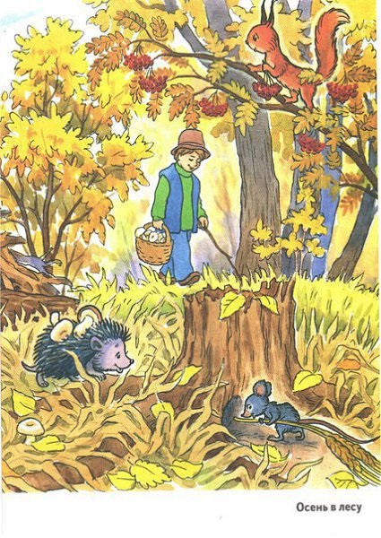 Осінь у лісі красиві картинки для дітей та батьків