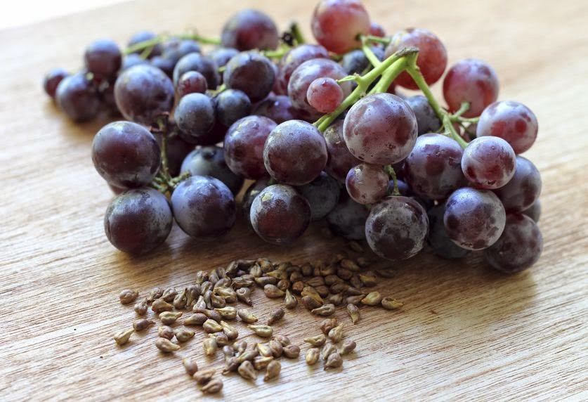Чи можна їсти виноград із кісточками? Відповідь спеціалістів