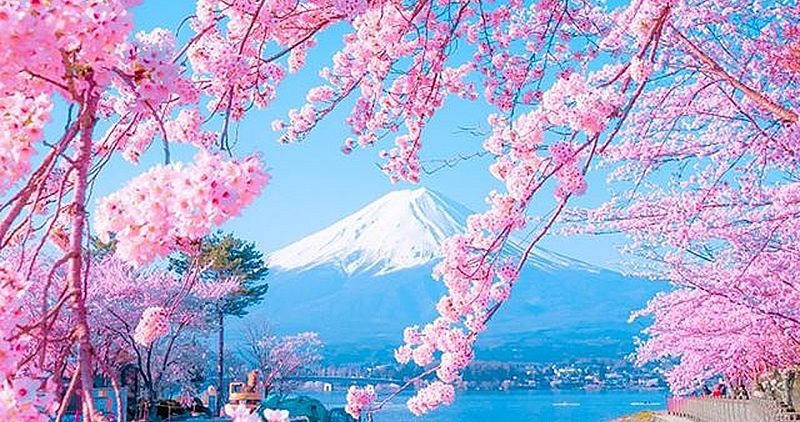 Фото природи: Японія