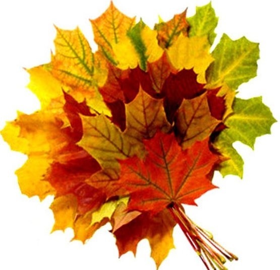Зображення букет осіннього листя