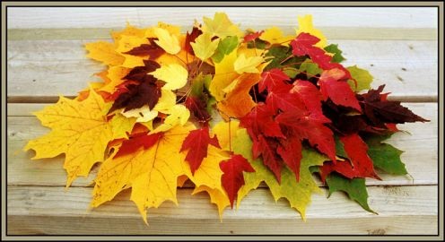 Зображення букет осіннього листя