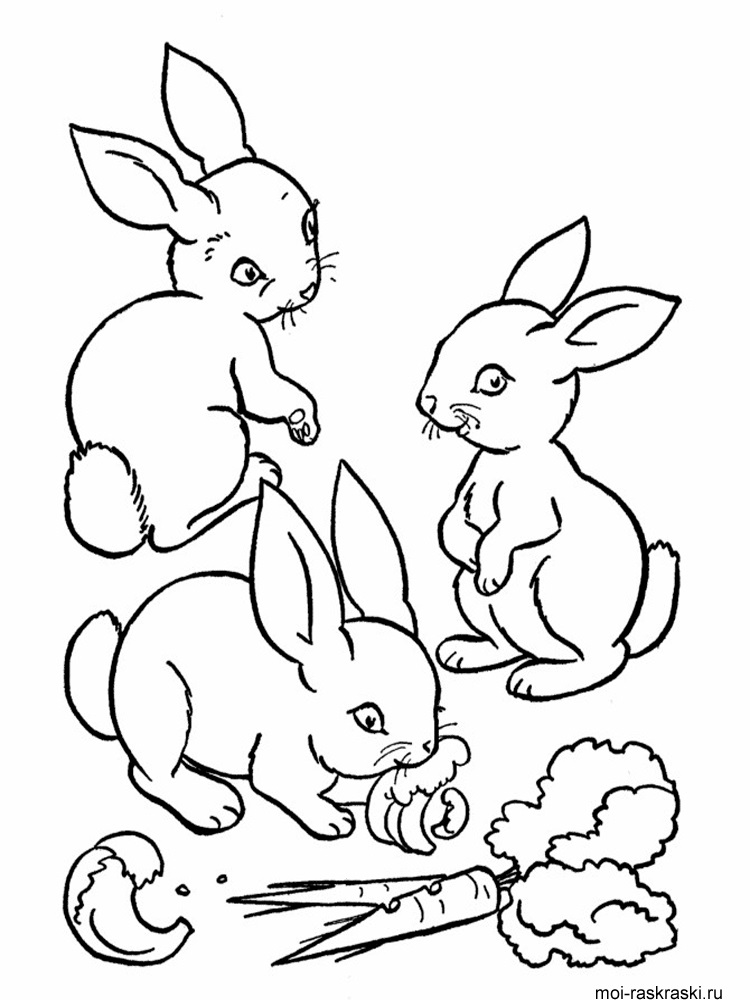 Малюнки кролики для дітей