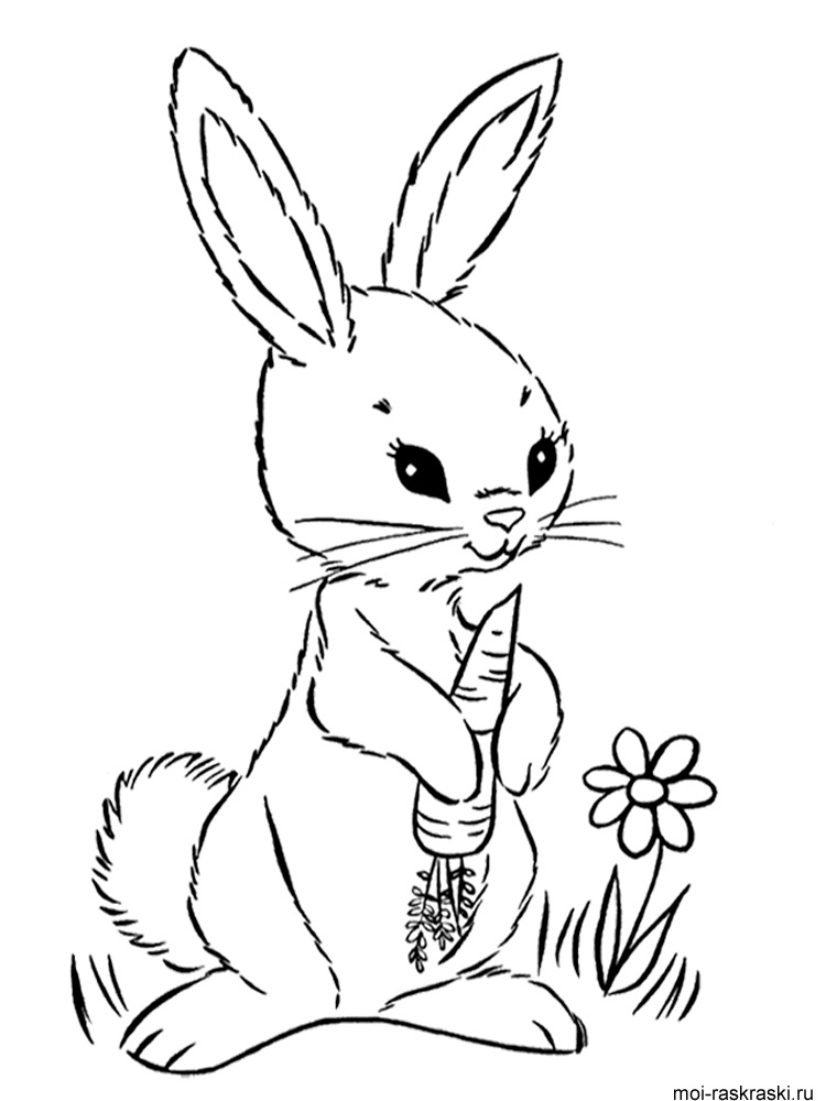 Малюнки кролики для дітей