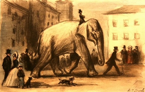 Картинка моська та слон