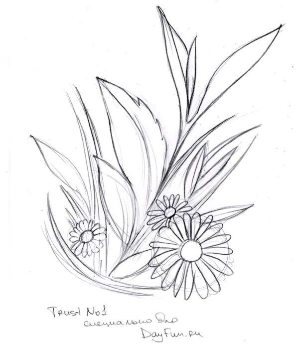 Квіти малюнок для дітей олівцем