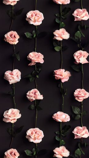 Квіти на заставку телефону фото та шпалери