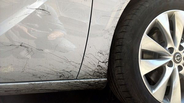 Як видалити бітум та смолу з поверхні автомобіля?